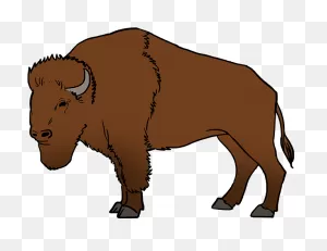 How To Draw Buffalo - Draw A Buffalo Clipart - Full Size Clipart ClipartFlare.com 