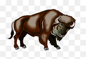 Image Of Buffalo Clipart #5502, For Buffalo Graphics - Clipartoons ClipartFlare.com 