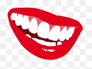 What The Shape Of Your Teeth Says About You - Times Of India