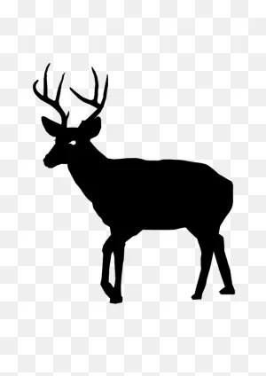 Buck Clipart - Png Download - Full Size Clipart (#2344859 ClipartFlare.com 