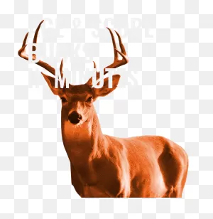 Buck Clipart 8 Point Buck - Png Download - Full Size Clipart ClipartFlare.com 