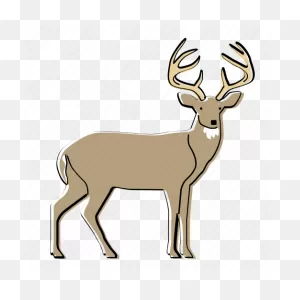 Cattle T-Shirt Logo Decal Clip Art - Button Buck Png Download ClipartFlare.com 