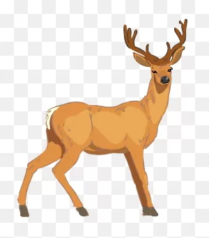 Deer Decoys – Dave Smith Decoys