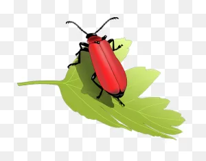 Bug Clipart - ClipartFlare - ClipartFlare