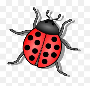 Bug Clipart Free Download Clip Art On 3 - ClipartFlare ClipartFlare.com