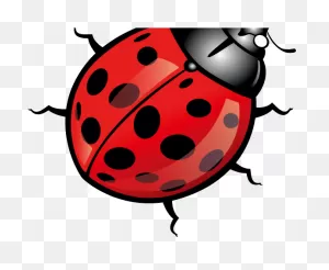 Bug Clipart Vector Clip Art Free Clipart Images - ClipartFlare ClipartFlare.com