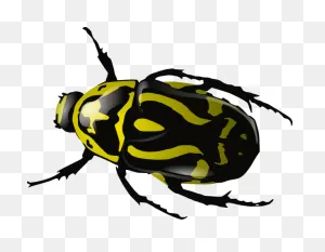 Free Bug Clipart, Download Free Bug Clipart Png Images ClipartFlare.com 