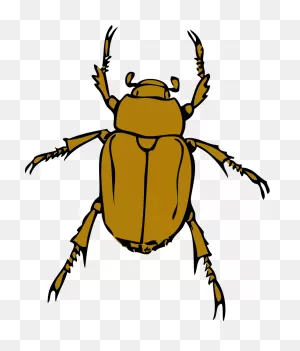 File:green Bug.PNG-WebP - Wikipedia