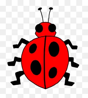 June Bug Clipart. Free Download Transparent .png | ClipartFlare