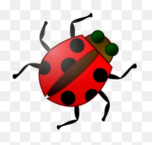 Lady-Bug-Hi - Great Explorations