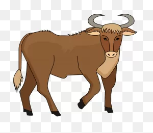 Bull Clipart. Free Download Transparent .png | ClipartFlare
