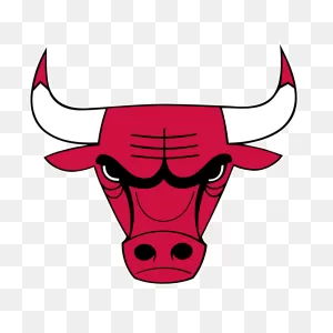 Chicago Bulls News - Nba | Fox Sports