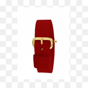 Secure® 60 Inch Gait Belt With Ez Release Ykk Plastic Buckle