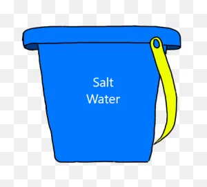 5 Gallons Saltwater (Includes Bucket)