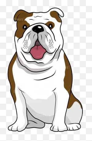 Australian Bulldog Clipart - Full Size Clipart (#5759171) - ClipartFlare