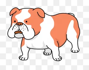 Bulldog Clipart Transparent Png Image - ClipartFlare