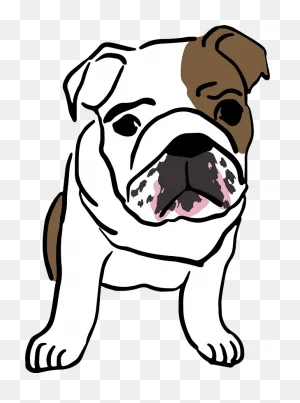 English Bulldog Clipart. Free Download Transparent .png | ClipartFlare