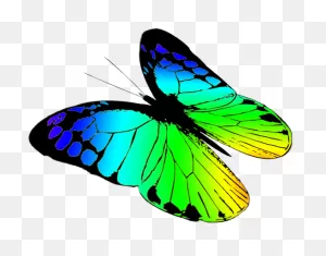 Butterfly Transparent Download Hd Butterfly Clipart Clip Art Free ClipartFlare.com 