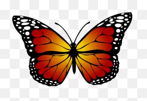 Butterfly Butterfly Moths And Butterflies Monarch Butterfly ClipartFlare.com 
