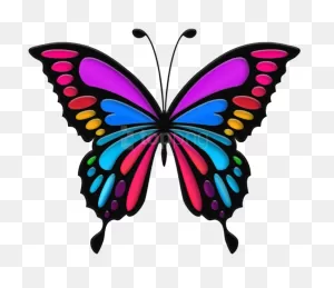 Free Png Download Colorful Butterfly Clipart Png Photo - Colorful ClipartFlare.com 