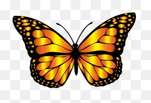 Monarch Butterfly Clipart Monarch Butterfly Clipart - Png Download ClipartFlare.com 