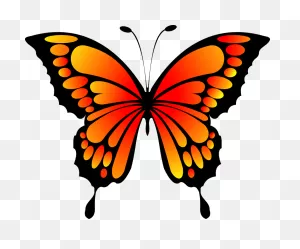 Photos Ilke: 47  Butterfly Clipart Pictures