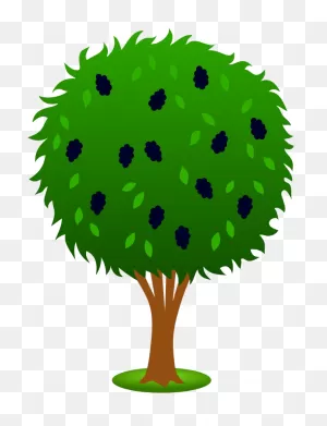Bush Clipart Blackberry Bush - Lemon Tree Drawing Easy - Png ClipartFlare.com 