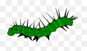 Caterpillar Clip Art At ClipartFlare ClipartFlare.com - Vector Clip Art Online ClipartFlare.com 