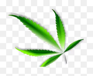 Cannabis Clipart Svg - Illustration - Png Download - Large Size ClipartFlare.com 