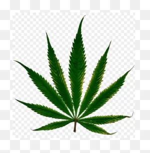 Download Cannabis Clipart Png Photo | ClipartFlare