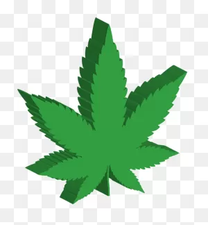 Free Photo Leaf Leaves Cannabis 3D Isometric Drugs Marijuana - Max ClipartFlare.com 