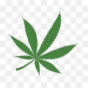 The Benefits Of Marijuana Legalization - Shepherd Express