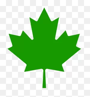 Aaevp Leaf - Canadian Maple Leaf Clipart - Large Size Png Image ClipartFlare.com 