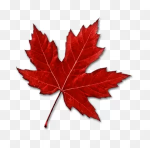 Canadian Maple Leaf Transparent Png - Stickpng