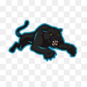 Carolina Panthers News, Rumors, Scores, Schedule, Stats And Roster ClipartFlare.com 