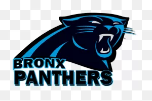 Panther Clipart Pioneer - Carolina Panthers Address Logo - Png ClipartFlare.com 
