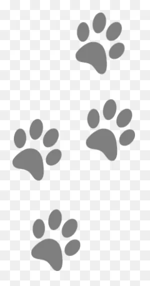 60  Free Dog Cat Paw & Dog Images