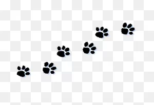Cat Paw Print Clipart Kid - ClipartFlare