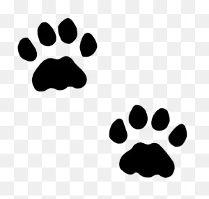 Cat Paw