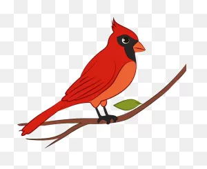 Cardinal Clipart. Free Download Transparent .png | ClipartFlare