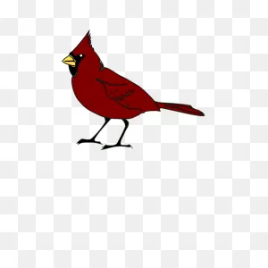 Cardinal Bird In Red Color Clip Art | Free Svg