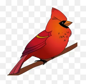 Cardinal Clipart. Free Download Transparent .png | ClipartFlare