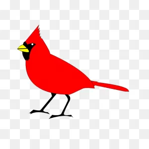 Cardinal Bird Vector Clip Art | Free Svg