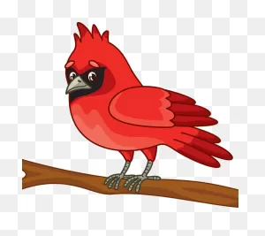 Cardinal Clipart. Free Download Transparent .png | ClipartFlare