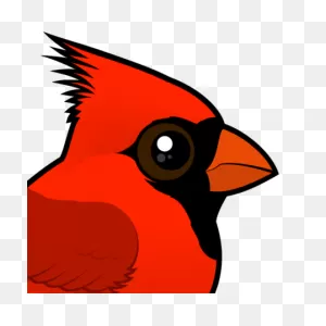 Cute Northern Cardinal By ClipartFlare < Meet The Birds