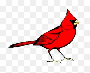 Free Cardinal Cliparts, Download Free Cardinal Cliparts Png Images ClipartFlare.com 