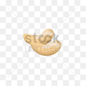 Cashew Nuts Vector Image - 1709732 | Stockunlimited