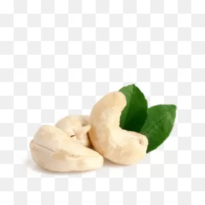 Cashew Nuts | ClipartFlare