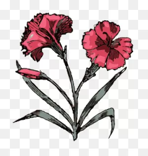 Carnation Clip Art At ClipartFlare ClipartFlare.com - Vector Clip Art Online, Royalty ClipartFlare.com 