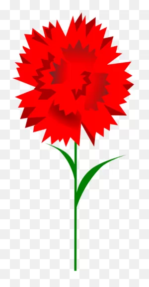 Carnation Flower Red - Free Vector Graphic On ClipartFlare